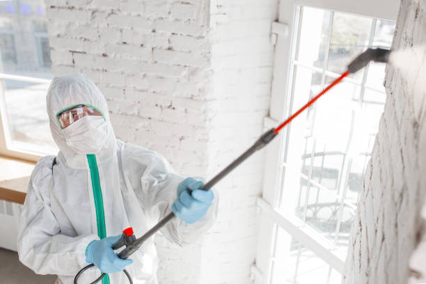 Mold Odor Removal Services in Saluda, SC